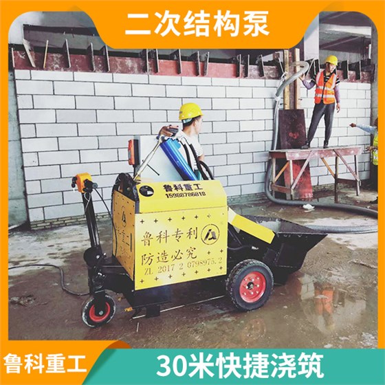 二次構(gòu)造柱泵 二次構(gòu)造柱泵