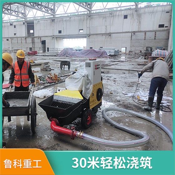 建筑機(jī)械二次結(jié)構(gòu)輸送泵